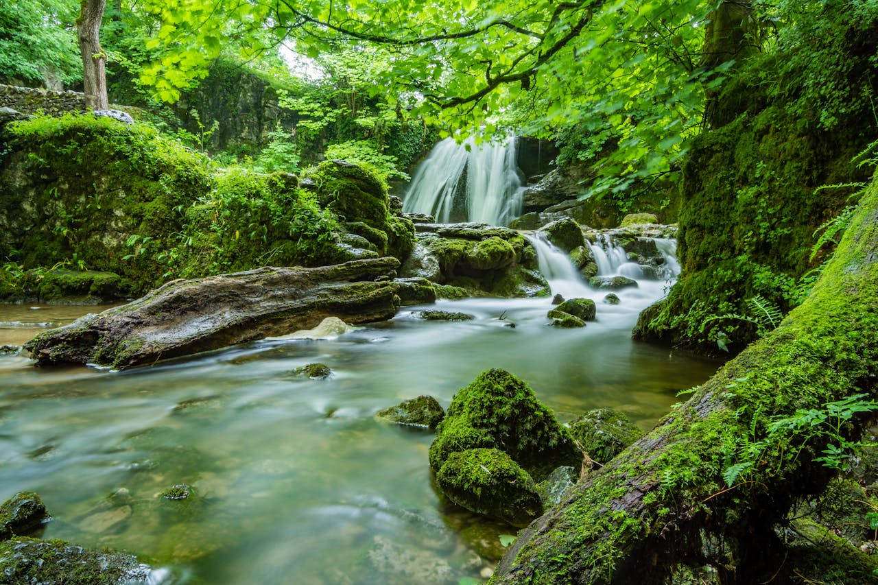 Waterfalls in Forest